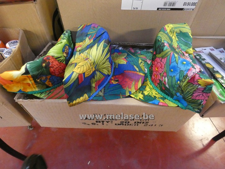 Petten