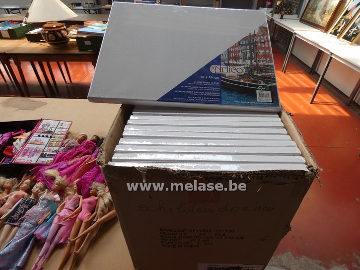 Canvassen "Artico"