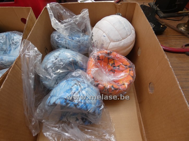 Lederen ballen