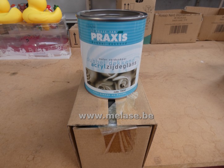 Zijdeglanslak "Praxis"