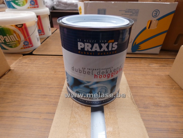 Hoogglanslak "Praxis"