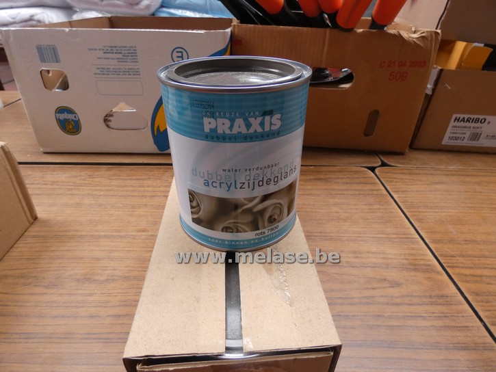 Zijdeglanslak "Praxis"
