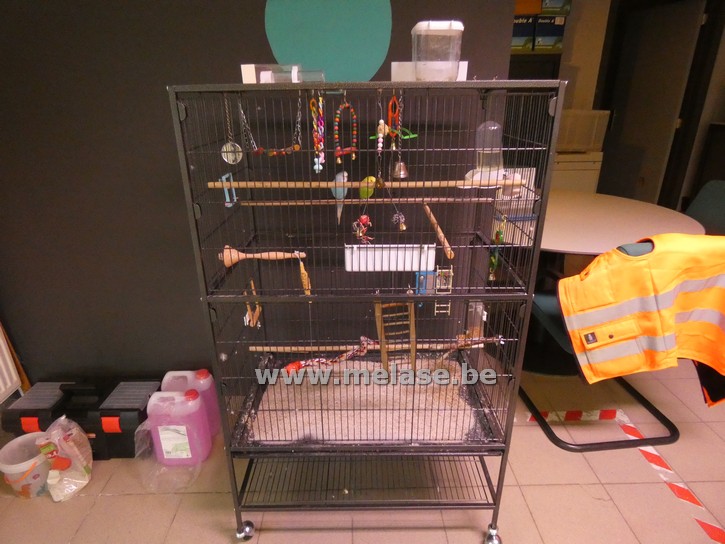 Grote vogelkooi