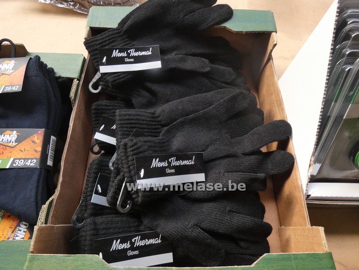 Handschoenen "Mens Thermal Gloves"