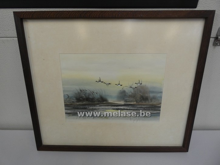 Aquarel "vliegende eenden"