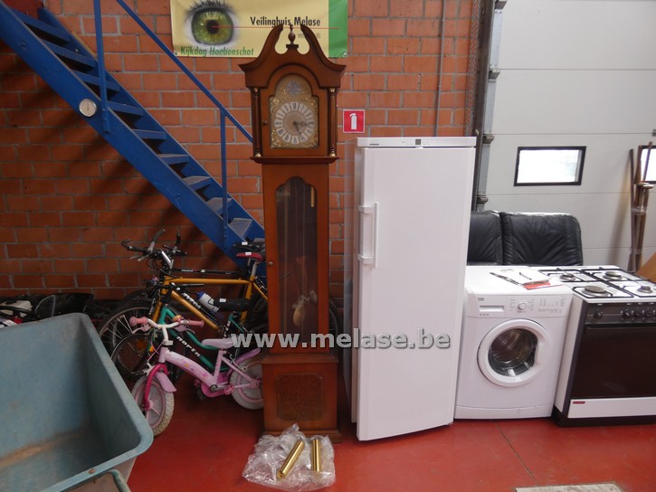 Staande klok "Tempus Fugit"