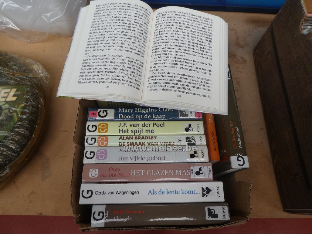Grootletterboeken