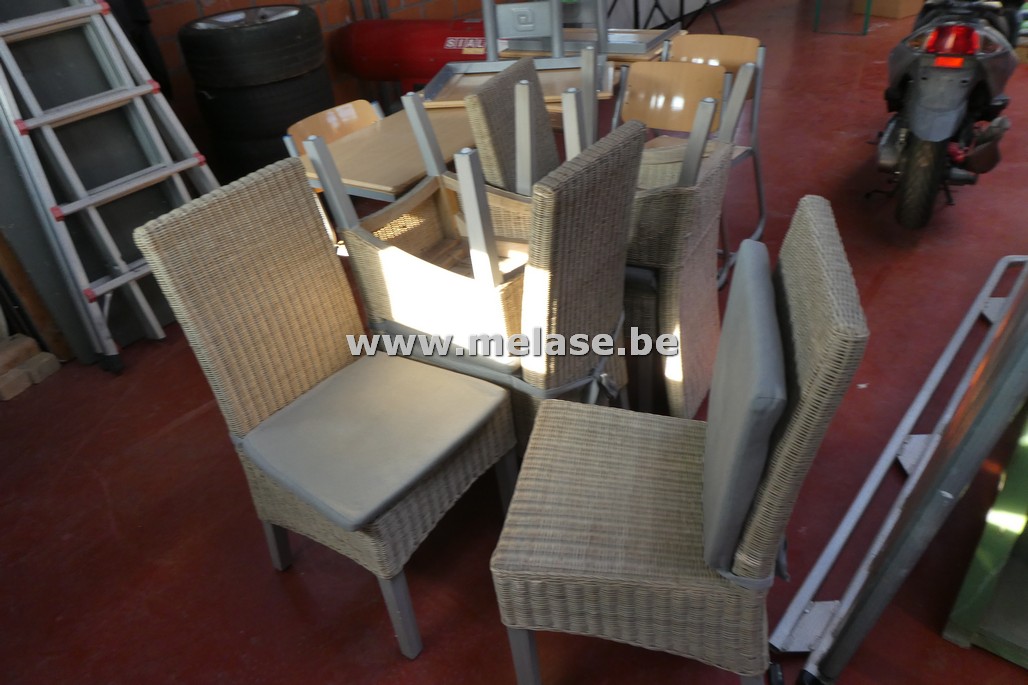 Rotan stoelen met kussen