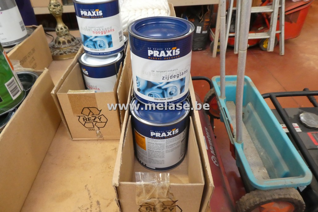 Verf "zijdeglans - Praxis"