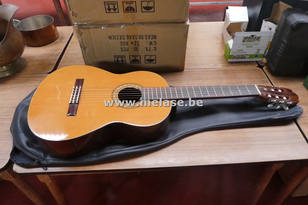 Gitaar in draagzak