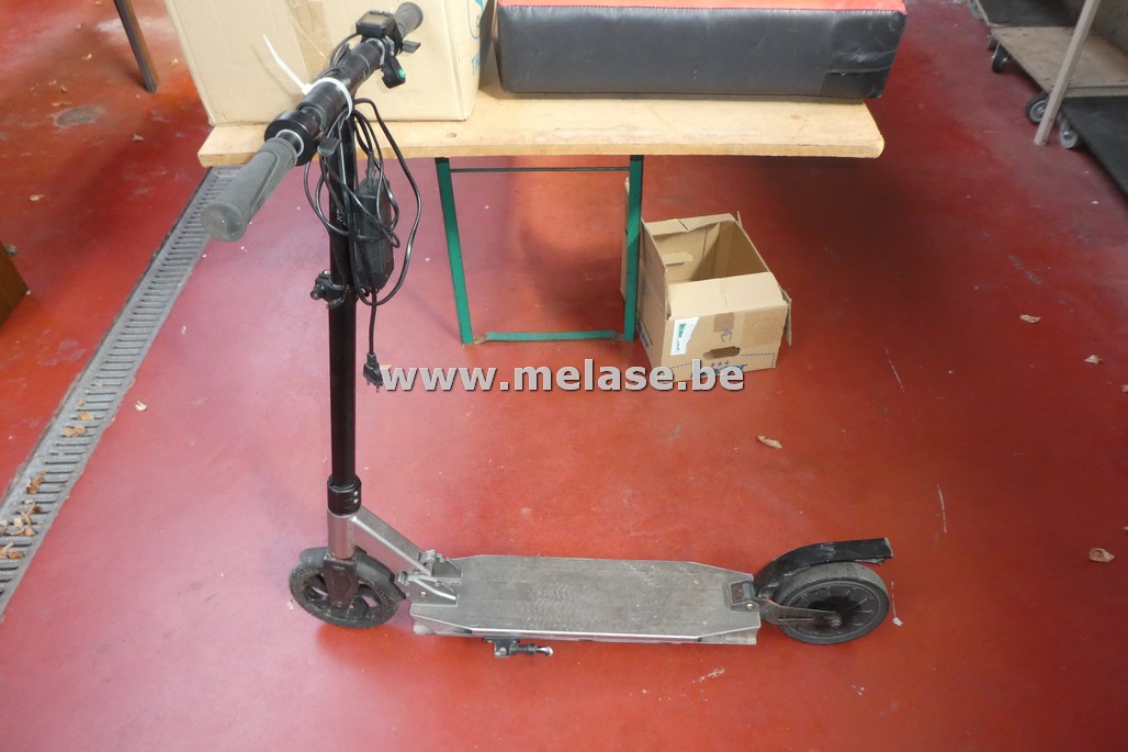 Electrische step 
