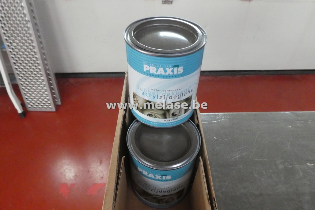 Verf "acryl zijdeglans - Praxis"