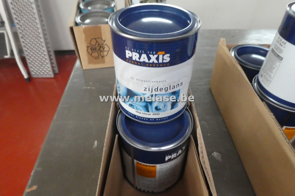 Verf "acryl zijdeglans - Praxis"