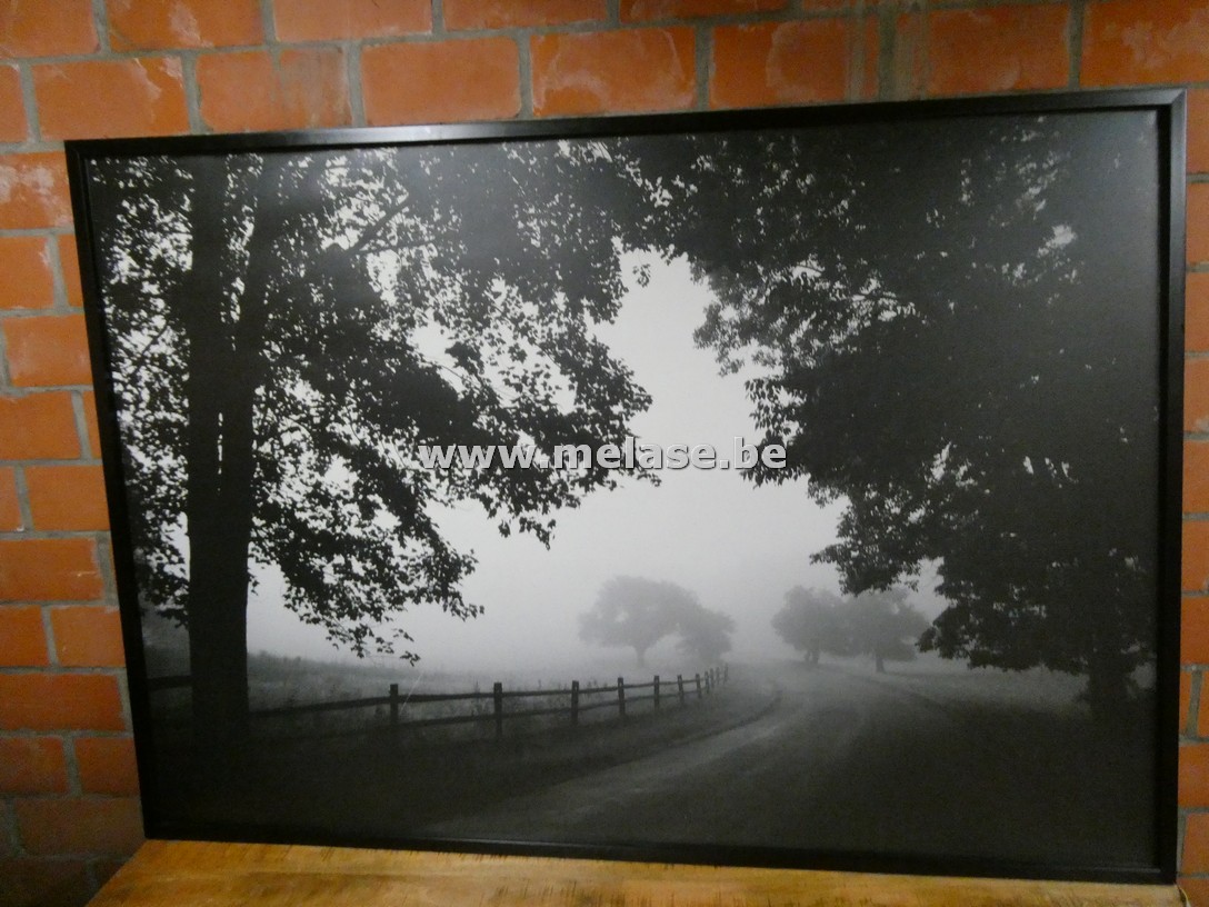 Canvas in kader "weidezicht"