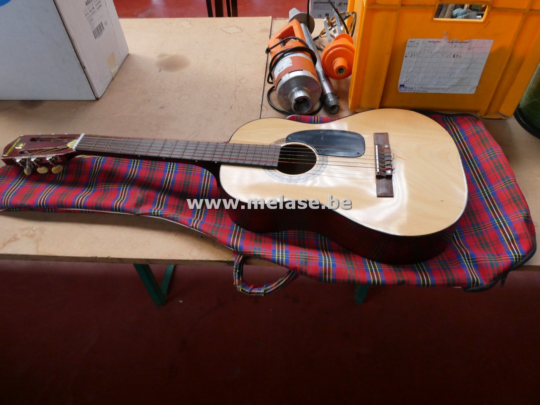 Gitaar in draagzak