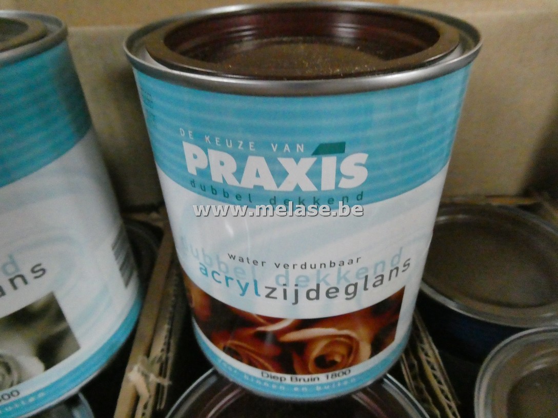 Zijdeglanslak "Praxis"
