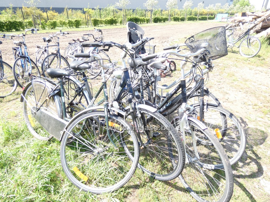 Damesfietsen