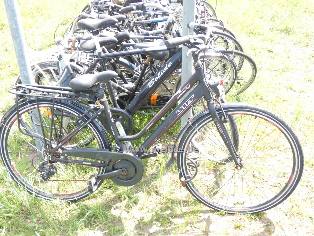 Damesfiets "UMT"