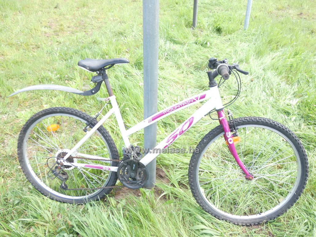 Mountainbike "Mountain 50"