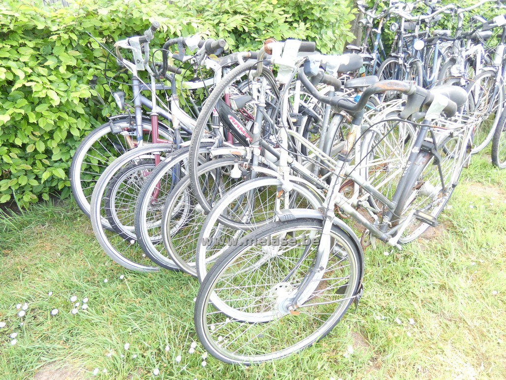 Fietsen