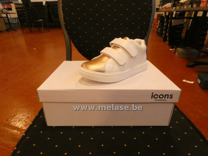 Icons - wit/goud