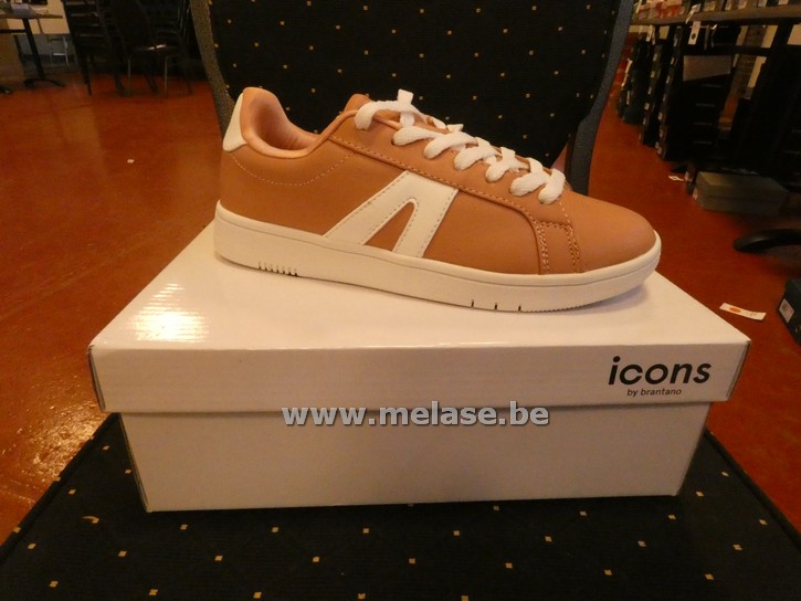 Icons - roos/bruin