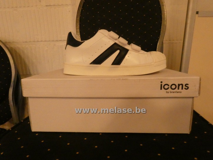 Icons - wit/donker blauw