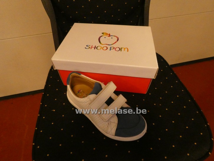 Shoo Pom - wit/blauw