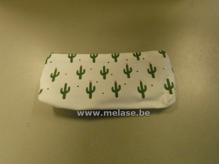 Pennenzak "cactus"