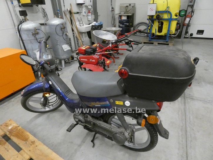 Bromfiets "Honda Wallaroo"