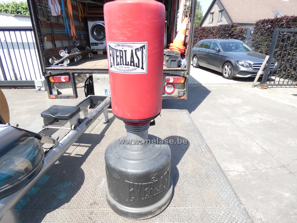 Boksbal "Everlast"