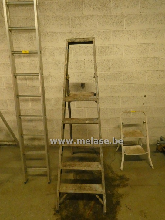 Trapladder