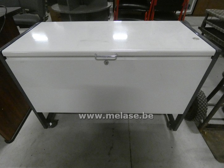 Kast/koffer op wielen
