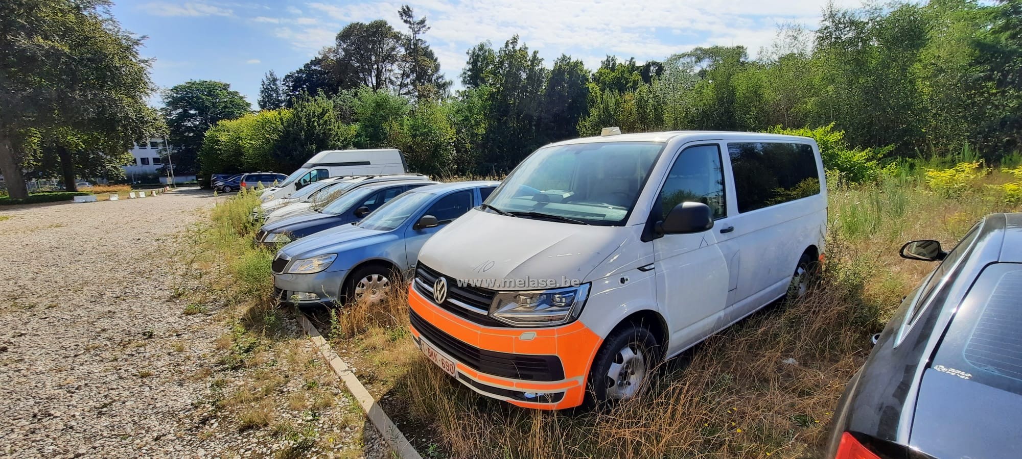 Volkswagen Transporter T6