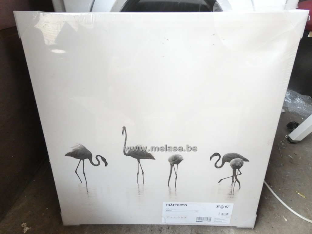 Canvassen "Flamingo's"