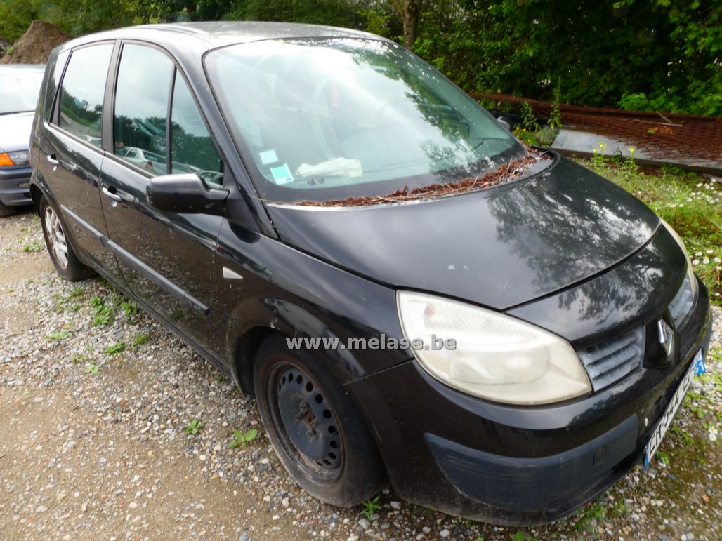 Renault Scenic 1.9 DCi