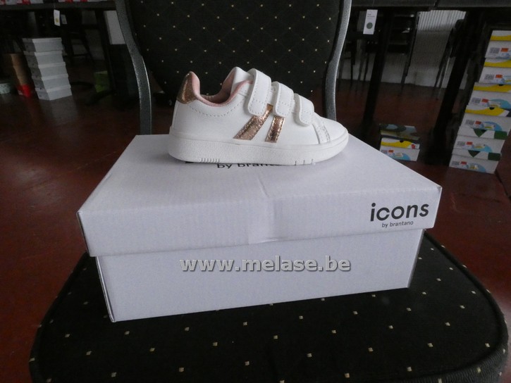 Icons - wit/goud (26)